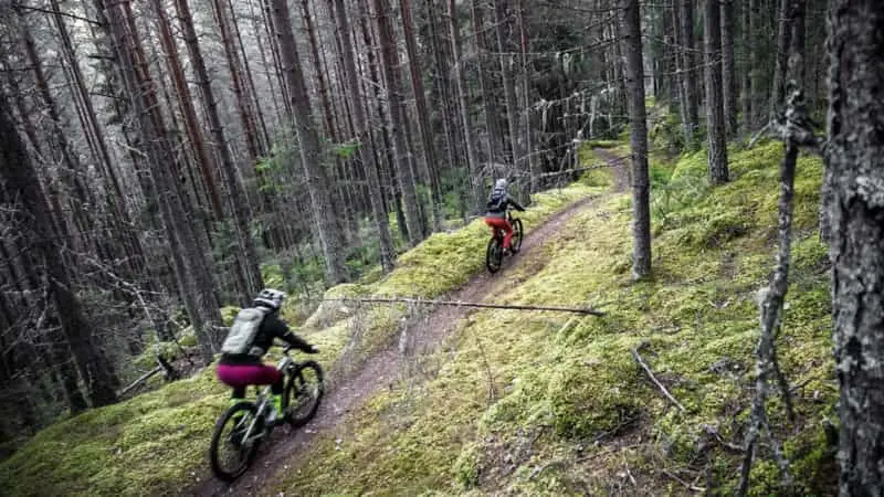 quality mountain bike descent